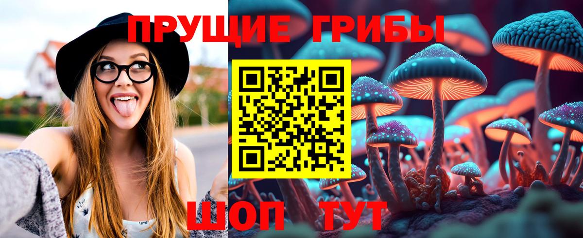 Туапсе  закладки  Вход с VPN  Псилоцибиновые грибы MAGIC MUSHROOMS  Псилоцибиновые грибы мицелий 